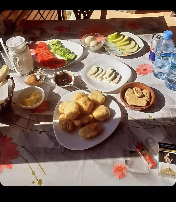 Mikel Center Theth Guesthouse Πανσιόν